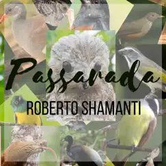 Passarada (feat. Roberto Shamanti, Carlos Alexandre, Armistrong Neto & Passarim da Amazônia) Song Lyrics