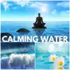 Calming Water - Gentle Stream and Sea Sounds to Relax, Ocean Waves and Waterfall Background Music for Deep Sleep album lyrics, reviews, download