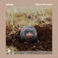 Follow The Mole Song Lyrics