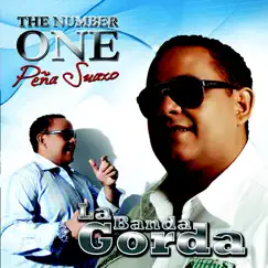 The Number One by Jose Peña Suazo y Su Banda Gorda album reviews, ratings, credits