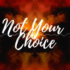 Not Your Choice - Single by The Lofi Bard album reviews, ratings, credits