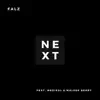 Next (feat. Medikal & Maleek Berry) - Single album lyrics, reviews, download