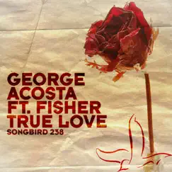 True Love (Radio Edit) [feat. Fisher] Song Lyrics