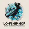 Lo Fi HipHop Study Beats & Instrumentals album lyrics, reviews, download