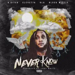 Never Know (feat. Clevetta, Ola & Blvck Wizzle) Song Lyrics