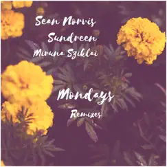 Mondays (feat. Sundreen & Miruna Sziklai) [DJ Vice Remix] Song Lyrics