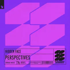 Perspectives - Single by Hidden Face album reviews, ratings, credits