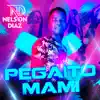 Pegaito Mami - Single album lyrics, reviews, download