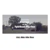 Journey of the Spiritual Playboy - Single album lyrics, reviews, download