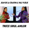 Trece Sirul Anilor (feat. Vali Vijelie) - Single album lyrics, reviews, download
