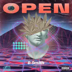 Open - Single by D Smith album reviews, ratings, credits
