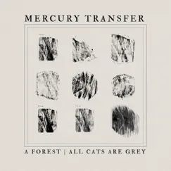 A Forest / All Cats Are Grey - Single by Mercury Transfer album reviews, ratings, credits
