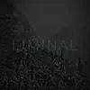 Vatnajökull (Liminal Remix) song lyrics
