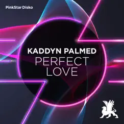 Perfect Love - Single by Kaddyn Palmed album reviews, ratings, credits