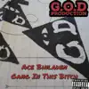 Gang in This Bitch - Single album lyrics, reviews, download