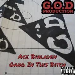Gang in This Bitch - Single by Ace Binladen album reviews, ratings, credits
