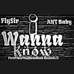 I Wanna Know (feat. ANT Baby) - Single by FlySir album reviews, ratings, credits