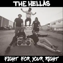 Fight for Your Right Song Lyrics