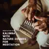 Kalimba with Nature Sounds for Meditation album lyrics, reviews, download