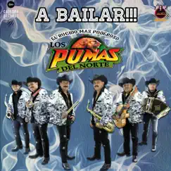 A BAILAR!!!: El Rugido Mas Poderoso - EP by Los Pumas del Norte album reviews, ratings, credits
