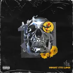 What It's Like - Single by Rit$y album reviews, ratings, credits