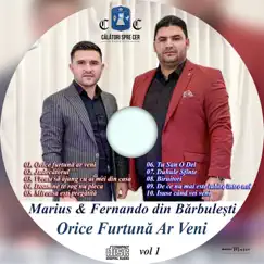 Orice Furtuna Ar Veni, Vol. 1 (feat. Marius) by Fernando din Barbulesti album reviews, ratings, credits