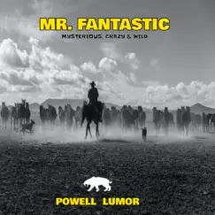 Mr. Fantastic Song Lyrics