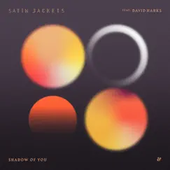 Shadow of You (feat. David Harks) - Single by Satin Jackets album reviews, ratings, credits
