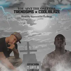 You Ain't the Only One (feat. Cooliblaze) - Single by Trendsims album reviews, ratings, credits