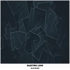 Electric Love - Single by Blue Reaper album reviews, ratings, credits