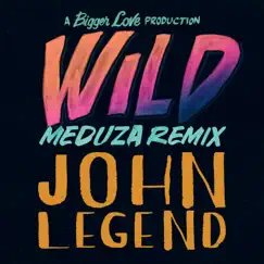Wild (MEDUZA Remix) Song Lyrics