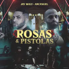 Rosas y Pistolas Song Lyrics