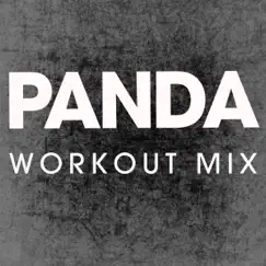 Panda (Extended Workout Mix) Song Lyrics