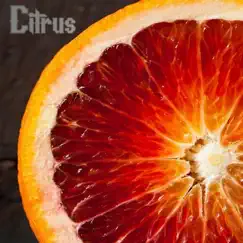 Citrus - Single by Reaver Myles album reviews, ratings, credits