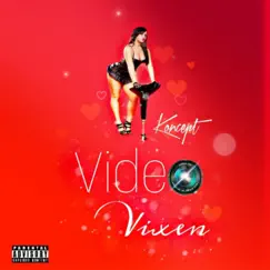 Video Vixen Song Lyrics