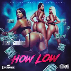 How Low (Remix) - Single by Juan Gambino album reviews, ratings, credits