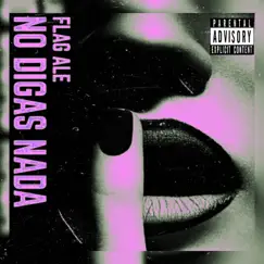No Digas Nada - Single by FLag Ale album reviews, ratings, credits