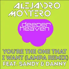 You're the One That I Want (feat. Sandy & Danny) [Lampa Festival Remix] Song Lyrics