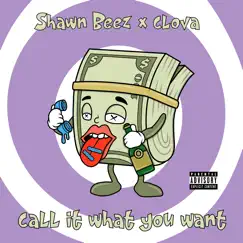 Call It What You Want (feat. Shawn Beez) - Single by Clova album reviews, ratings, credits