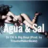 Água & Sal - Single album lyrics, reviews, download