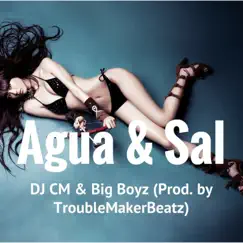 Água & Sal - Single by DJ CM & Big Boyz album reviews, ratings, credits