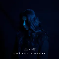 Qué Voy a Hacer - Single by Chirriz & Abi Luevano album reviews, ratings, credits
