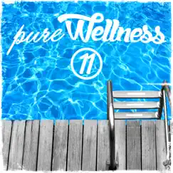 Pure Wellness, Vol. 11 by Various Artists album reviews, ratings, credits