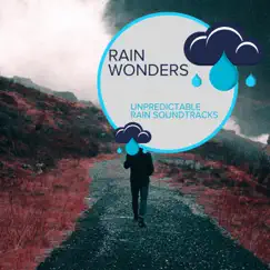 Rain Wonders - Unpredictable Rain Soundtracks by Rain Recordings & Everyday Rain Stories album reviews, ratings, credits
