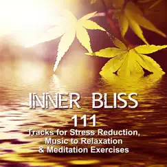 Inner Bliss: 111 Tracks for Stress Reduction, Music to Relaxation & Meditation Exercises, Anxiety Treatment by Mindfullness Meditation World album reviews, ratings, credits