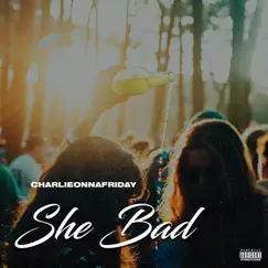 She Bad - Single by Charlieonnafriday album reviews, ratings, credits