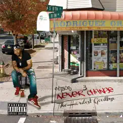 Never Change 3: The Hardest Goodbye by ChaosNcg album reviews, ratings, credits