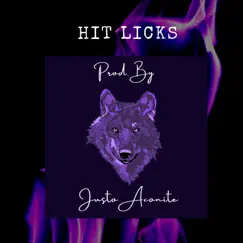Hit Licks - Single by Justo Aconite album reviews, ratings, credits