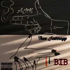 BIB (feat. Aj1k) - Single by Thee Journeyy album reviews, ratings, credits