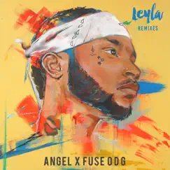 Leyla (feat. Fuse ODG) [Fastlane Remix] Song Lyrics